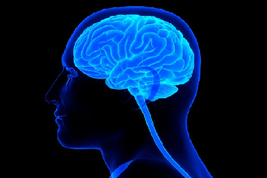 Master of Physiotherapy (MPT) – Specialization Neurology