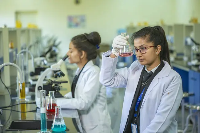 B.Sc. (Hons) Biotechnology