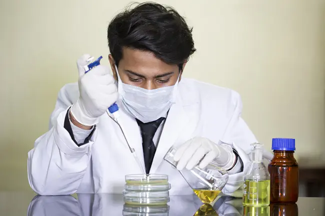 B.Sc. (Hons) Microbiology