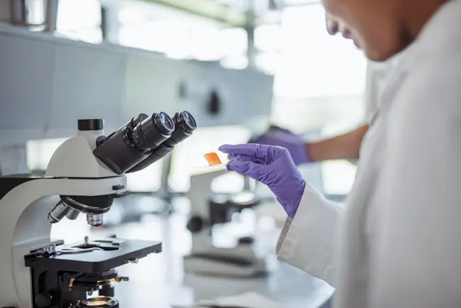 Ph.D. in Biosciences