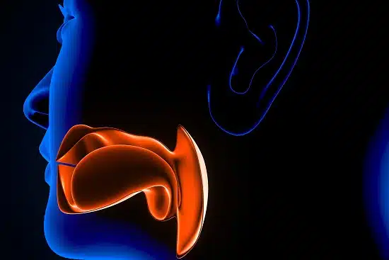 Oto-Rhinolaryngology (ENT)