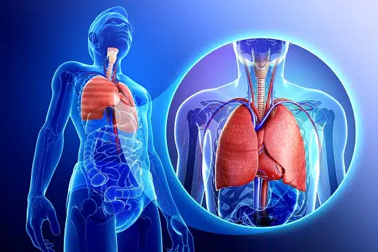 Respiratory Medicine