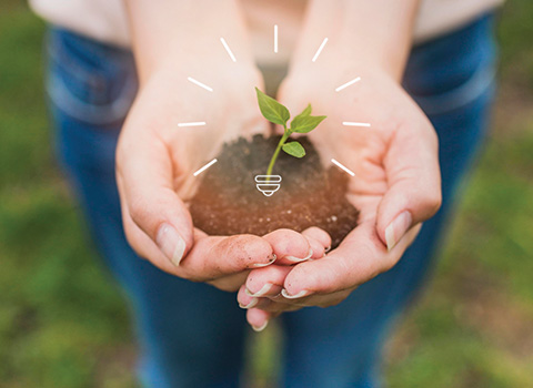 environmental-sustainability