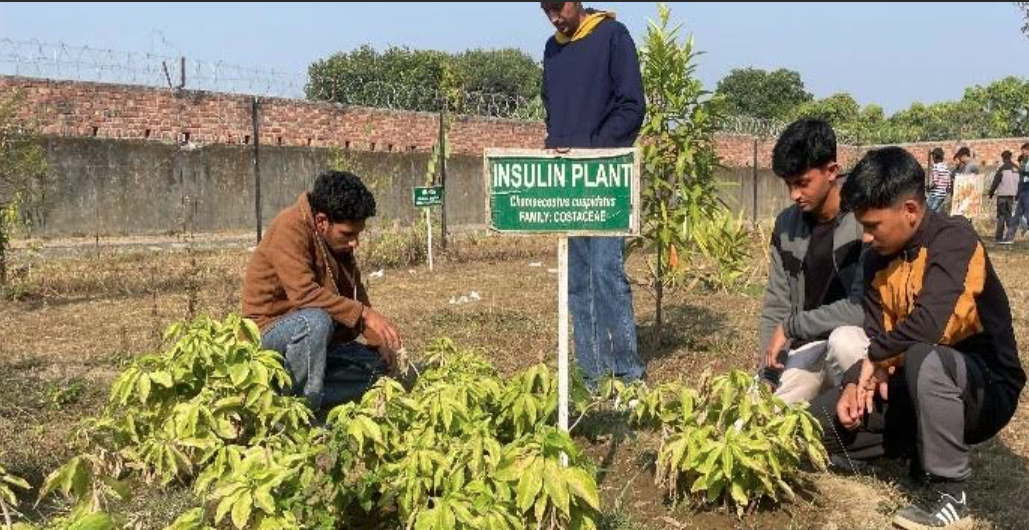 Screenshot 2025-12-13 092737