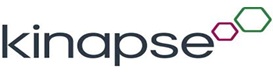 kinapse